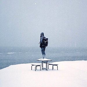 И дельфины 的头像