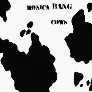 Cows