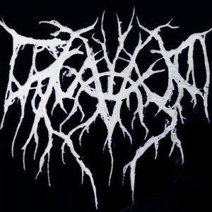 Carved Soul 的头像