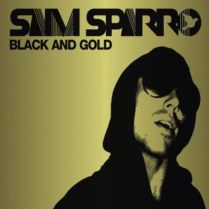 Black & Gold (Radio Edit) - Single