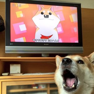 Wakesleep Mix for International Tapes