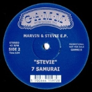 Marvin & Stevie E.P.