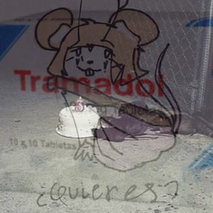neurorat 的头像