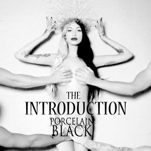 The Introduction