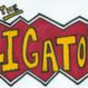 The Aligators 的头像