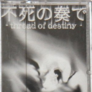 Shedde 的头像