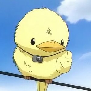 “Hibird”的封面