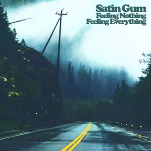 Feeling Nothing Feeling Everything