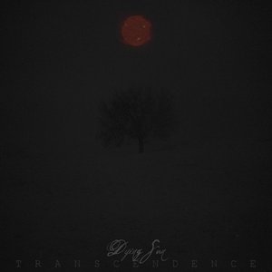 Transcendence