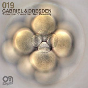 Gabriel & Dresden feat. Neil Ormandy 的头像