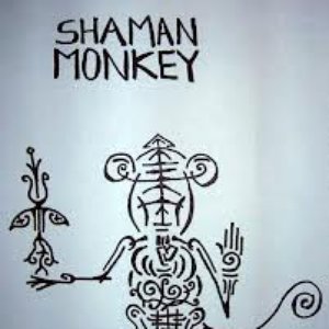 The Shaman Monkey 的头像