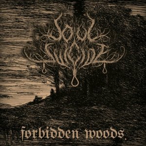 Forbidden Woods