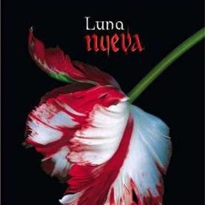 Avatar for Luna Nueva