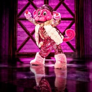 Imagem de 'The Masked Singer: Aap'