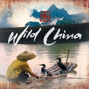 Изображение для 'Wild China OST'