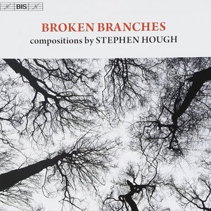 Broken Branches