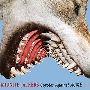 Coyotes Against ACME