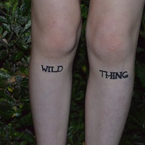 Wild Thing - Single