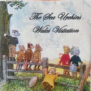 Wales Visitation - Live At Aberystwyth University 20 January 1989