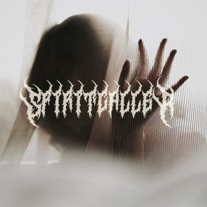 Spiritcaller 的头像