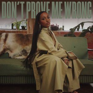 Don't Prove Me Wrong - Single