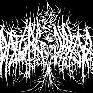 Avatar for Datura Dread