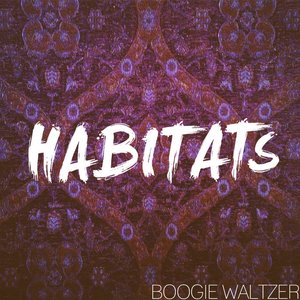 Boogie Waltzer