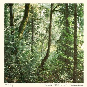 transmissions from elsewhere