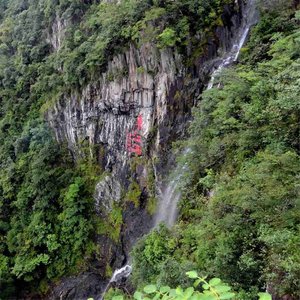 情系东江源 (演奏曲)