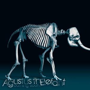 Agustus ThElefant 的头像