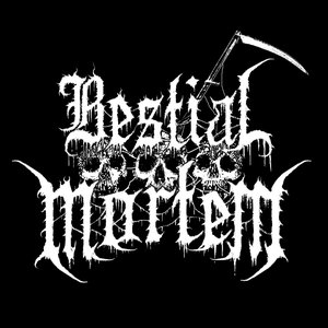Bestial Mortem 的头像