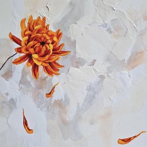 A Brief Glimpse of Solace