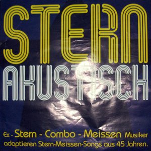 Bild für 'STERN - akustisch'