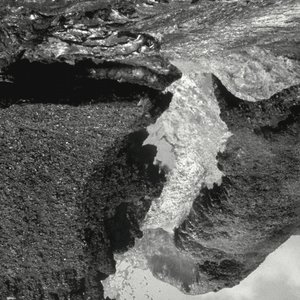 They Done Found the Flow