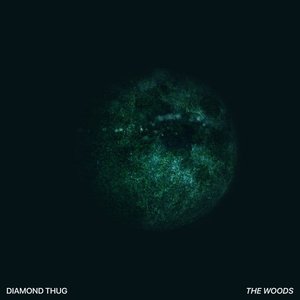 The Woods - Single