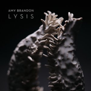 Lysis