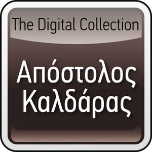 The Digital Collection