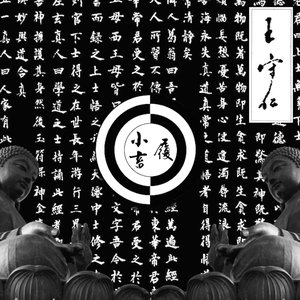 小畜履