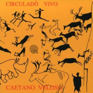 Image for 'Circulado Vivo'