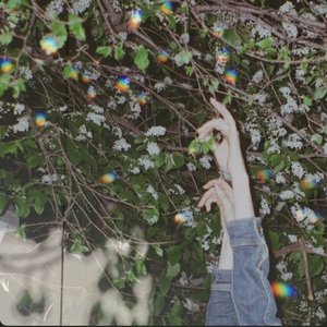 Летне – Весеннее - Single