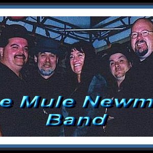 Awatar dla The Mule Newman Band