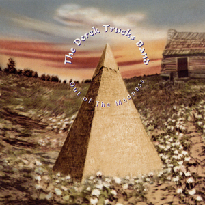 Stevie Ray Vaughan & Double Trouble - Out Of The Madness - Zortam Music