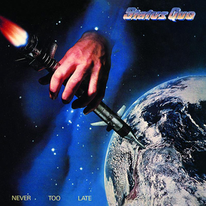 Never Too Late cover