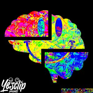 BRAINDASH​!​!​!