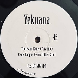 Thousand Rains