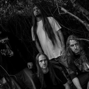 Аватар для Defeated Sanity