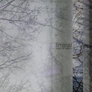 Liminal