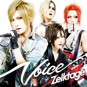 Voice