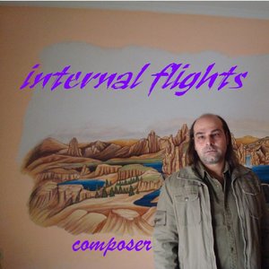 “internal flights”的封面