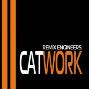 Catwork Remix Engineers 的头像